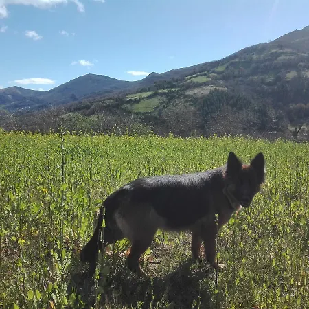 La Casona De Belmonte * Ovinana (Belmonte de Miranda)