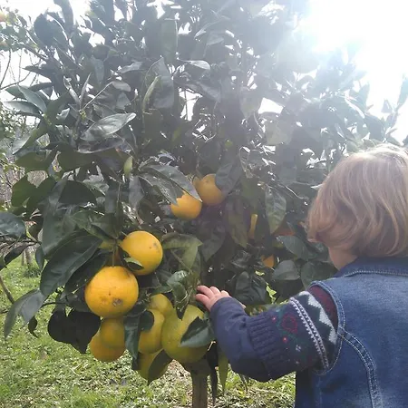 La Casona De Belmonte Farma