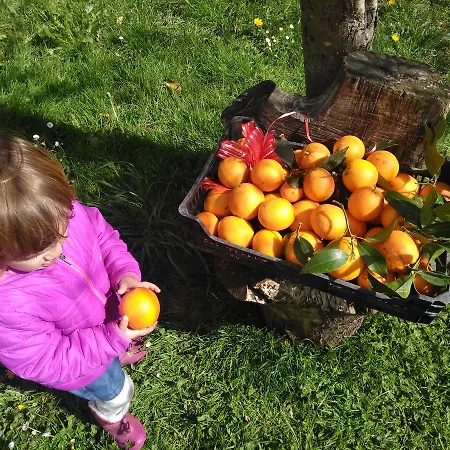 Farma La Casona De Belmonte Ovinana (Belmonte de Miranda)