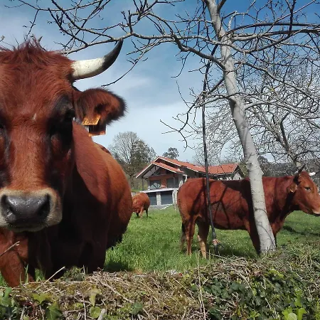 La Casona De Belmonte Farma Ovinana (Belmonte de Miranda)