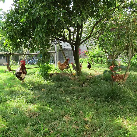 La Casona De Belmonte Ovinana (Belmonte de Miranda)