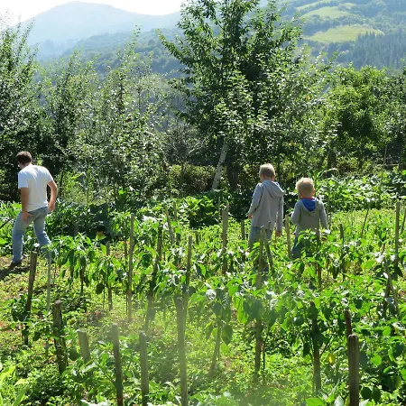 La Casona De Belmonte *